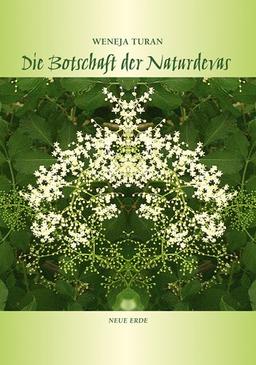 Die Botschaft der Naturdevas: Das Unsichtbare wird sichtbar