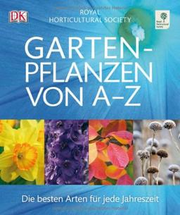 Gartenpflanzen von A-Z: Die besten Arten für jede Jahreszeit