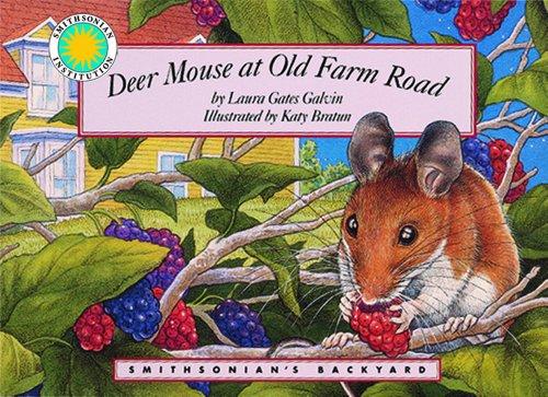 Deer Mouse at Old Farm Road (Smithsonian's Backyard)