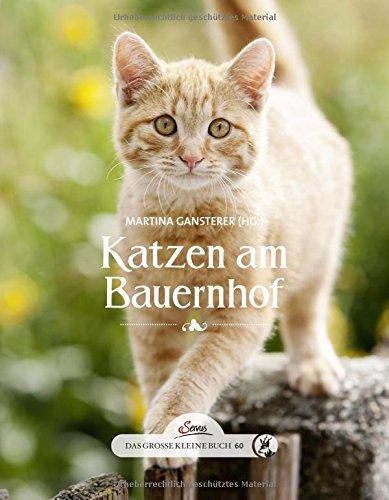 Das große kleine Buch: Katzen am Bauernhof