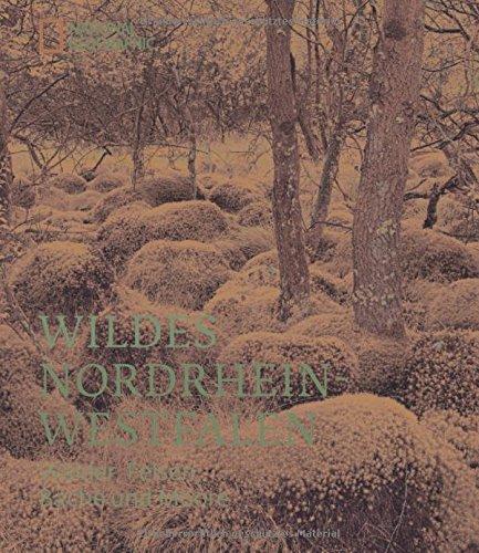 Wildes Nordrhein-Westfalen: Wälder, Felsen, Bäche und Moore