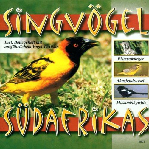 Singvögel Südafrikas