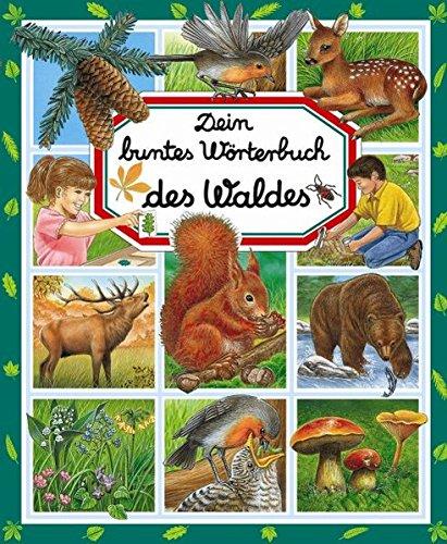 Dein buntes Wörterbuch des Waldes