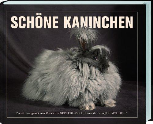 Schöne Kaninchen