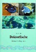 Doktorfische. Lebensweise - Pflege - Arten