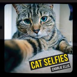 Cat Selfies