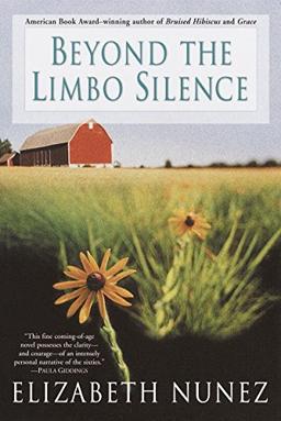 Beyond The Limbo Silence