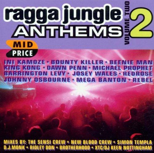 Ragga Jungle Anthems Vol.2