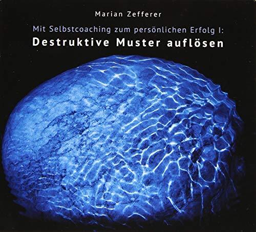 Mit Selbstcoaching zum persönlichen Erfolg I: Destruktive Muster auflösen