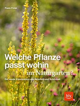 Welche Pflanze passt wohin im Naturgarten?: Die ideale Kombination aus Arterhalt und Schönheit (Gartengestaltung)