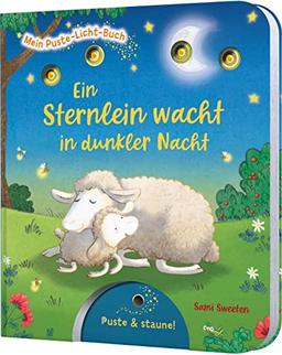 Mein Puste-Licht-Buch: Ein Sternlein wacht in dunkler Nacht: Gute-Nacht-Buch mit Puste-Licht und LED-Lämpchen