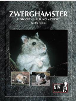 Zwerghamster: Biologie, Haltung, Zucht