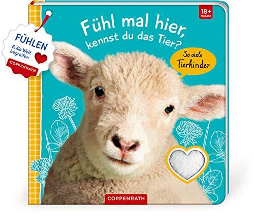 Fühl mal hier, kennst du das Tier? So viele Tierkinder: Fühlen und die Welt begreifen