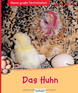 Das Huhn: Bilderbuch