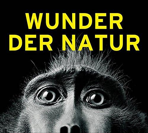 Wunder der Natur