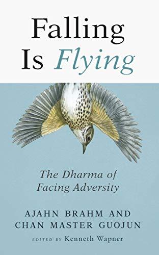 Falling is Flying: The Dharma of Facing Adversity