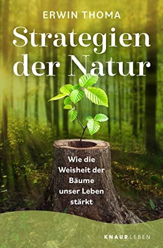 Strategien der Natur: Wie die Weisheit der Bäume unser Leben stärkt