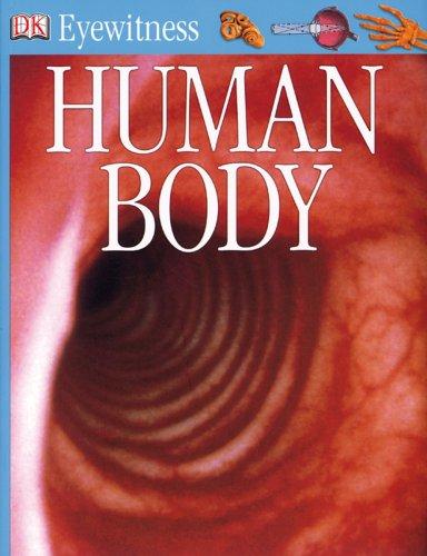 Human Body