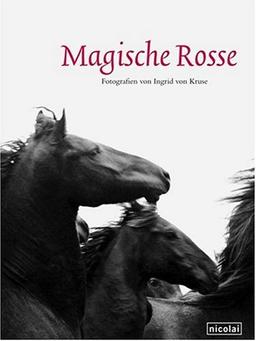 Magische Rosse