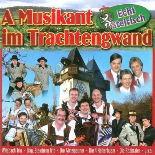 A Musikant im Trachtengwand