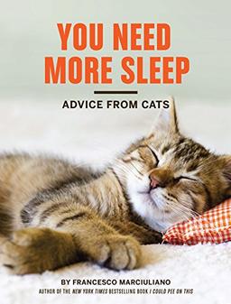 You Need More Sleep and Other Advice from Cats