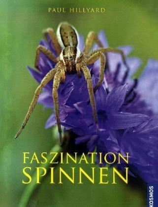 Faszination Spinnen