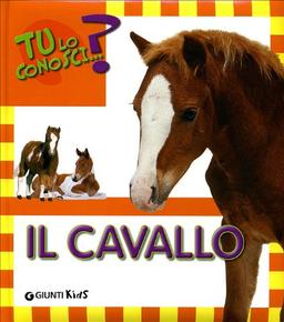 Il cavallo