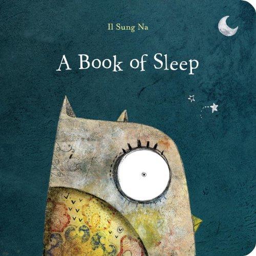 A Book of Sleep