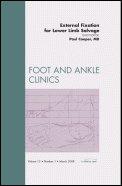 External Fixation for Lower Limb Salvage (Foot and Ankle Clinics, Vol. 13, No. 1)