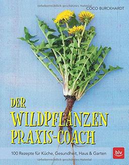 Der Wildpflanzen Praxis-Coach: 100 Rezepte für Küche, Gesundheit, Haus & Garten