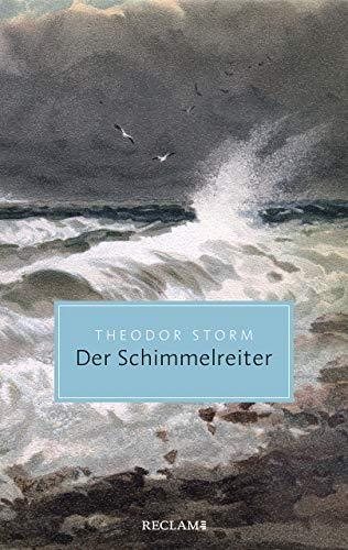 Der Schimmelreiter: Novelle (Reclam Taschenbuch)