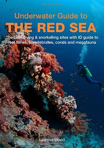 Underwater Guide to the Red Sea