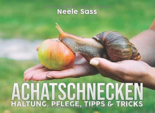 Achatschnecken Haltung, Pflege, Tipps & Tricks: (inkl. Anleitung für die Zucht) - alles über die Haltung der afrikanischen Riesenschnecke