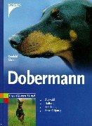 Dobermann: Auswahl, Haltung, Erziehung, Beschäftigung