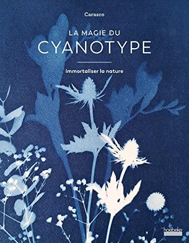 La magie du cyanotype : immortaliser la nature