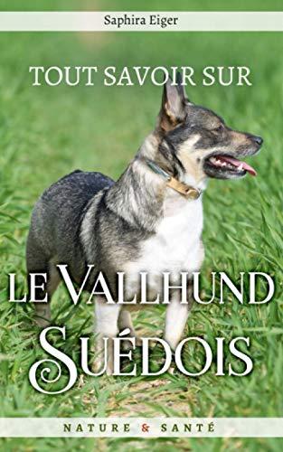 Tout Savoir sur le Vallhund Suédois (Mon Ami Le Chien)