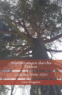 Wanderungen durchs DaSein: Gedichte 2006-2022