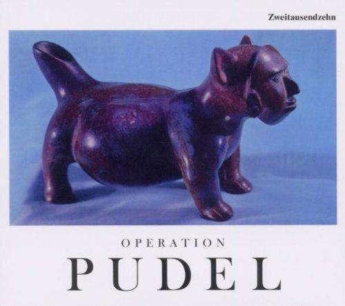 Operation Pudel 2010