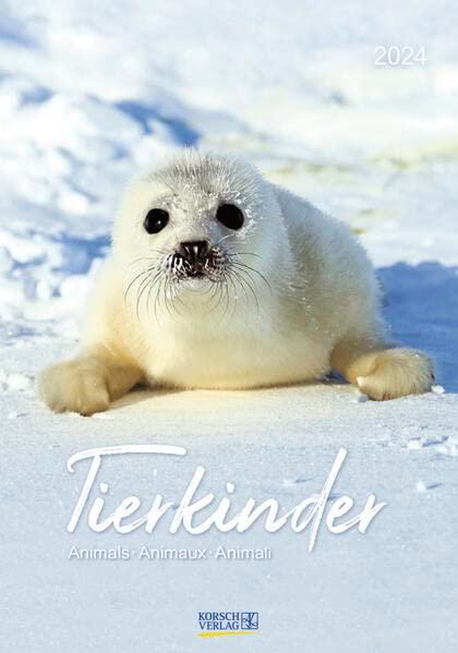 Tierkinder 2024