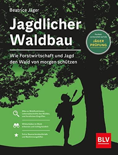 Waldbau für Jäger: Wie Forstwirtschaft und Jagd den Wald von morgen schützen