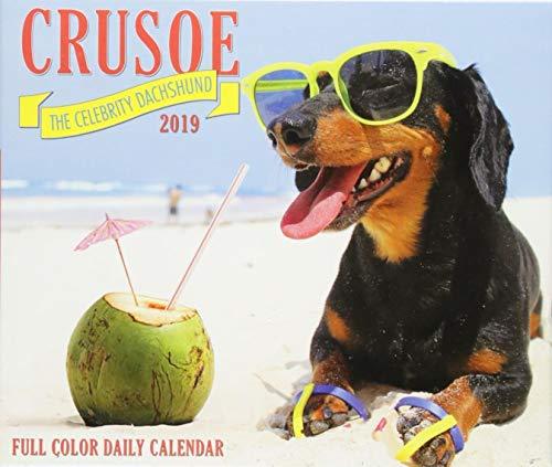 Crusoe the Celebrity Dachshund 2019 Box Calendar (Dog Breed Calendar)