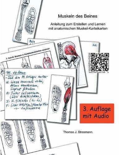 Muskeln des Beines: Anleitung zum Erstellen und Lernen mit anatomischen Muskel-Karteikarten