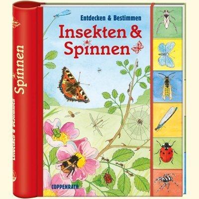 Entdecken und Bestimmen: Insekten und Spinnen