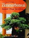 Zimmerbonsai