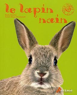 Le lapin nain