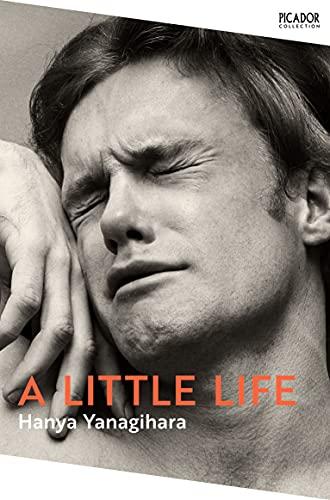 A Little Life (Picador Collection)