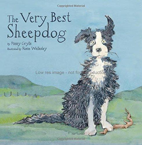 The Very Best Sheepdog