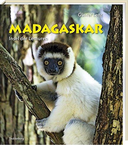 Madagaskar: Insel der Lemuren