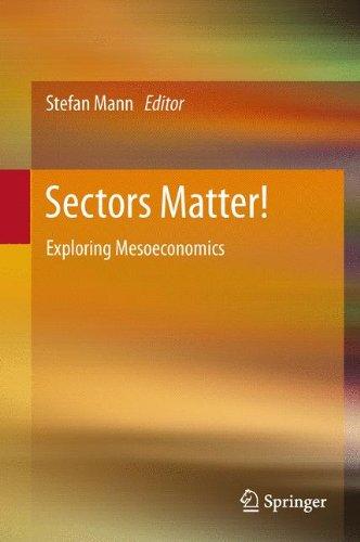 Sectors Matter!: Exploring Mesoeconomics