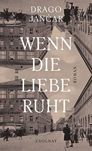 Wenn die Liebe ruht: Roman